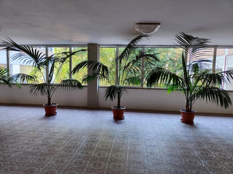 Apartamento San Donato *